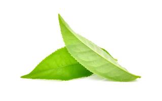Hoja de té verde aislado sobre fondo blanco. foto