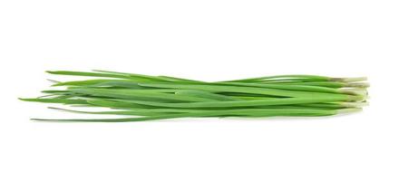 Garlic chives isolated on white background photo