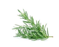 Rosemary isolated on white background photo