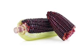 Fresh purple corn isolated on white background photo