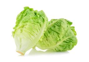 fresh baby cos lettuce on white background photo