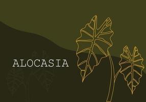 alocasia deja un vector con fondo verde oscuro.