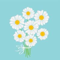 cute simple white daisy bouquet vector