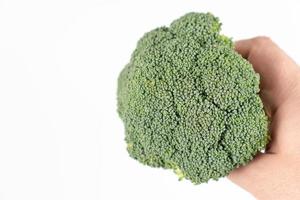 Fresh Broccoli in the hand above white background