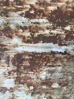 Rusty metal surface texture. Rusty Background