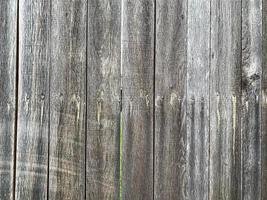 Wooden wall background. Fence backdrop. Plank made from wood photo