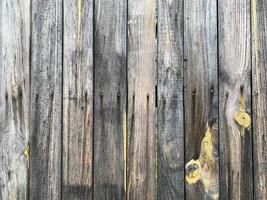 Wooden wall background. Fence backdrop. Plank made from wood photo