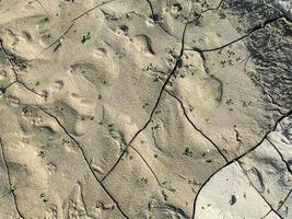 Mountain rock background. Rock texture. Stone backdrop photo