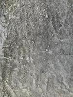 Concrete wall background. Cement wall texture photo