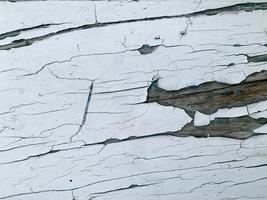 Wooden wall with weathered paint texture photo