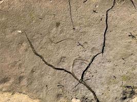 Mountain rock background. Rock texture. Stone backdrop photo