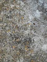 Concrete wall background. Cement wall texture photo