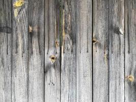 Wooden wall background. Fence backdrop. Plank made from wood photo