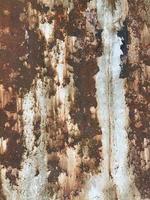 Rusty metal surface texture. Rusty Background photo