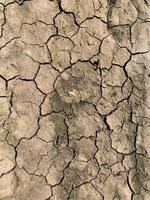 Mountain rock background. Rock texture. Stone backdrop photo