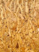 Compressed chipboard background. Wooden plank backdrop. OSB texture photo