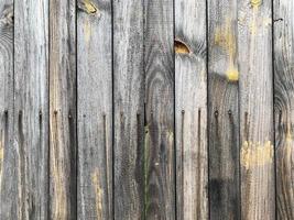 Wooden wall background. Fence backdrop. Plank made from wood photo