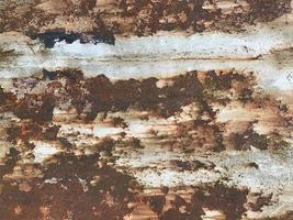 Rusty metal surface texture. Rusty Background photo