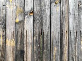 Wooden wall background. Fence backdrop. Plank made from wood photo