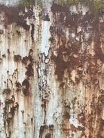 Rusty metal surface texture. Rusty Background photo