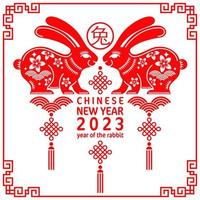 Happy chinese new year 2023 year of the rabbit zodiac vector