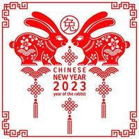 Happy chinese new year 2023 year of the rabbit zodiac vector