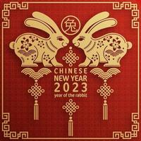 Happy chinese new year 2023 year of the rabbit zodiac vector