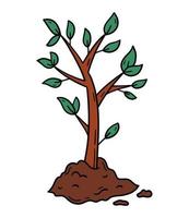 Planted tree in the ground with green leaves vector icon in doodle cartoon style.