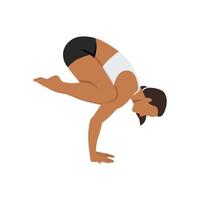 Woman doing Crow pose bakasana exercise. Flat vector illustration isolated on white background