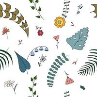 Doodle meadow flowers and leafs set.  Colores vector floral icons