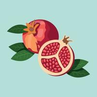 Red Pomegranate with green leaf and half of the Pomegranate lying near each other. Flat style Illustration. vector