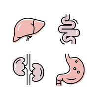 Intestines flat icon. Collection of outline symbols. Graphic Set of humans organs Liver Stomach Kidneys Intestines. Vector illustration on white background