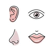 conjunto de órganos humanos. símbolos de la boca de la nariz del ojo del oído. sentido iconos línea delgada. vector de color de estilo plano aislado sobre fondo blanco