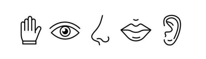 sentidos humanos cinco tipos. visión a través de los ojos, olfato con la nariz, gusto con la lengua. icono dibujado de símbolos. ilustración de vector plano aislado sobre fondo blanco