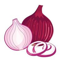 Whole, half, and sliced red onions isolated on white background. Vector cartoon illustration.