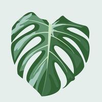 monstera en el diseño de vectores de macetas.