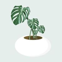 monstera en el diseño de vectores de macetas.