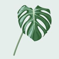 monstera en el diseño de vectores de macetas.