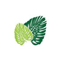 vector de plantilla de diseño de icono de logotipo de hoja de monstera