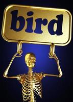 palabra pájaro y esqueleto dorado foto