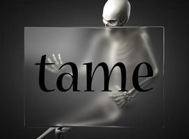 tame word on glass and skeleton photo
