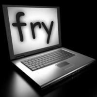 fry word on laptop photo