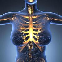 ciencia anatomía del cuerpo humano en rayos x con huesos esqueléticos brillantes foto