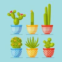 Set of cactuses potted plants with flowers. Mexican houseplant for hobbies. Vector design