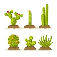conjunto de plantas de cactus en el desierto entre arena y tierra, suelo. diseño vectorial vector