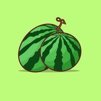 green watermelon vector illustration in flat design