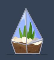 Vector illustration of plant triangular glass. Triangular glass for greenhouse effect.