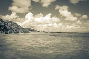 Muyil Lagoon panorama view landscape nature turquoise water Mexico. photo