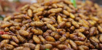 Silkworms fried as a high protein foods. photo