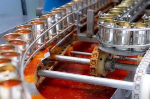 Canned fish factory. Food industry.  Sardines in red tomato sauce in tinned cans at food factory. Food processing production line. Food manufacturing industry. Many can of sardines on a conveyor belt. photo